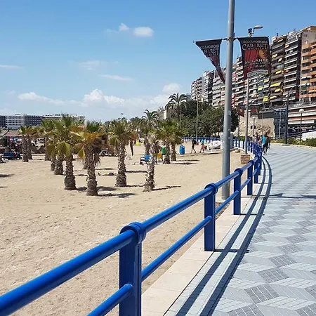 Turina * Alicante